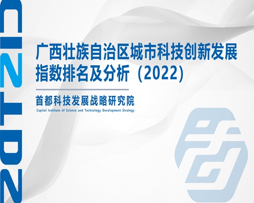 www.日骚逼.com【成果发布】广西壮族自治区城市科技创新发展指数排名及分析（2022）